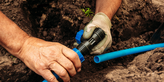 A person is installing a hose in the dirt.