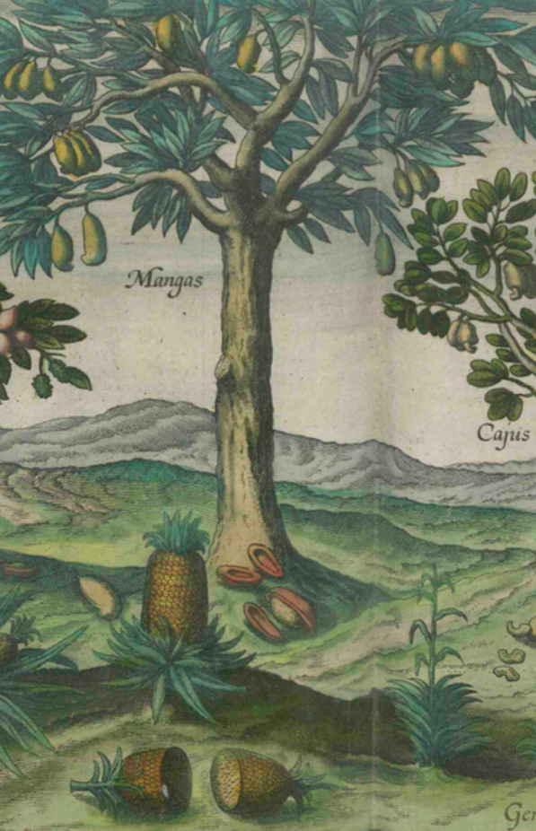 Jan Huygen van Linschoten