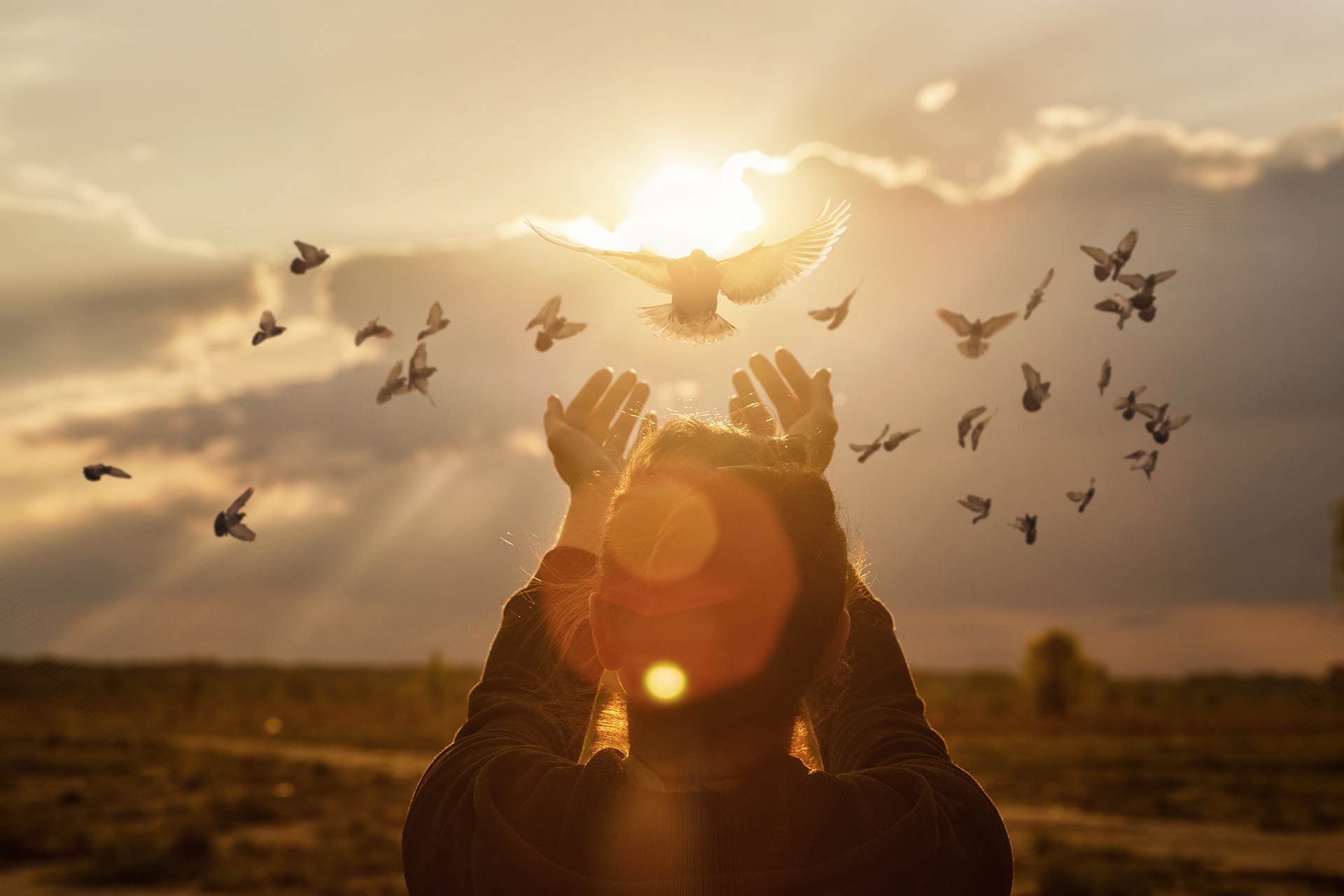 A person reaches up toward a flock of birds taking flight against a glowing, golden sunset.