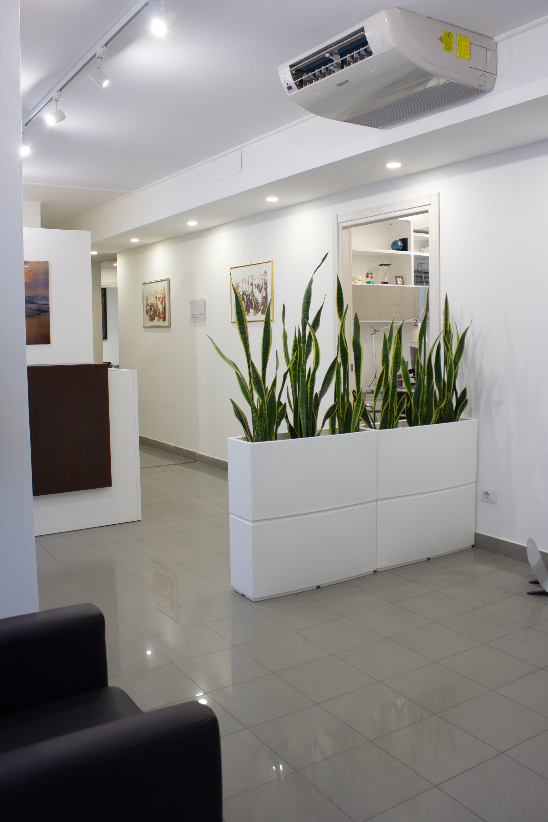 Interno dello studio