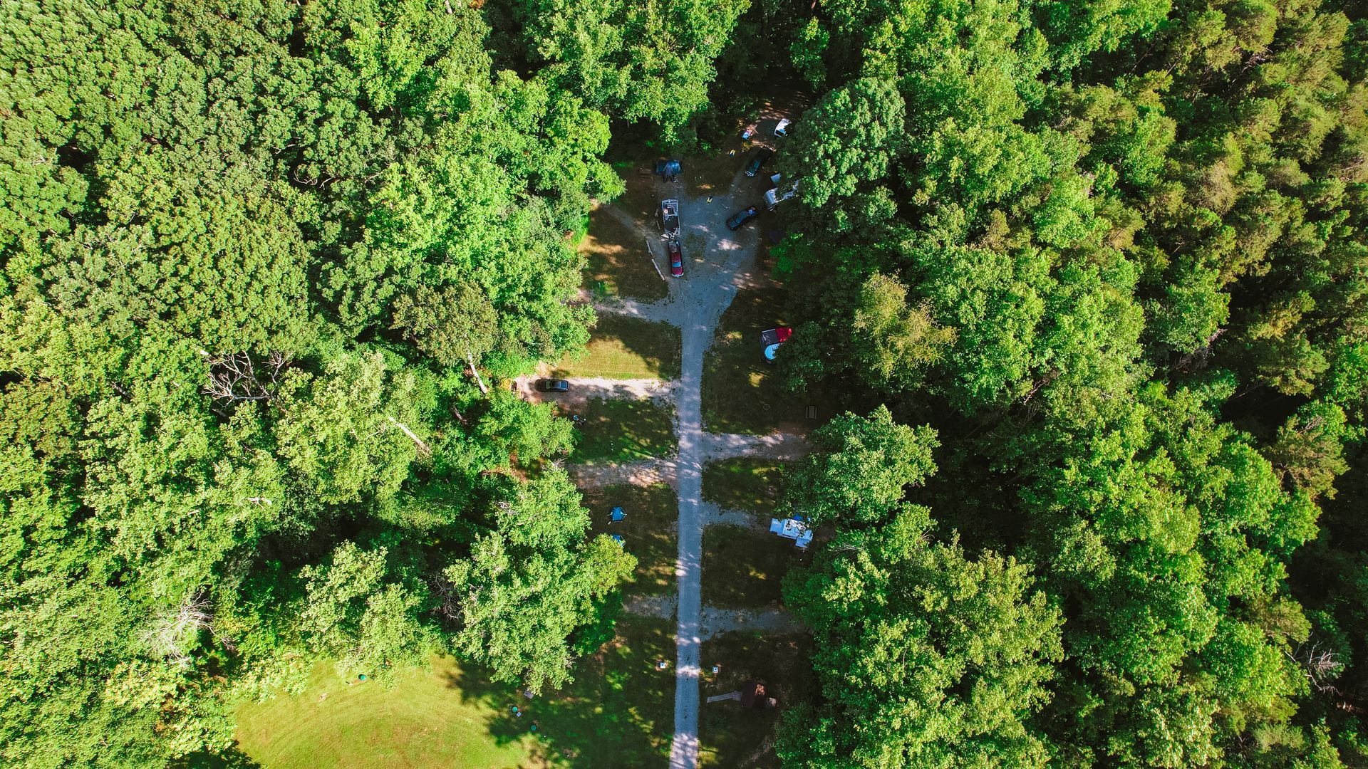 Overhead view of a path winding through a lush green forest, with people visible on the path.