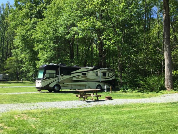 RV parked on green grass in a campground, with a picnic table and surrounding trees.