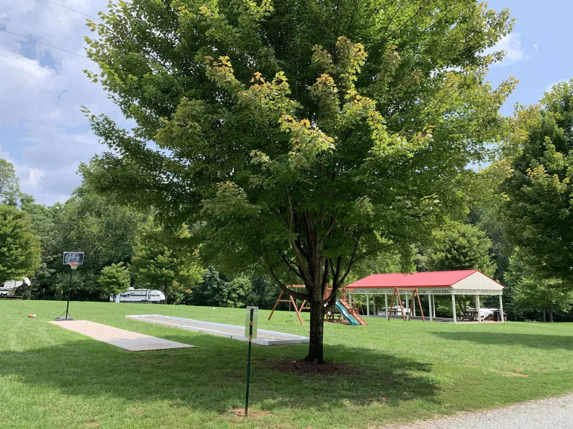 Lush green park with a tree casting a shadow, a playground, and a red-roofed shelter on a sunny day.