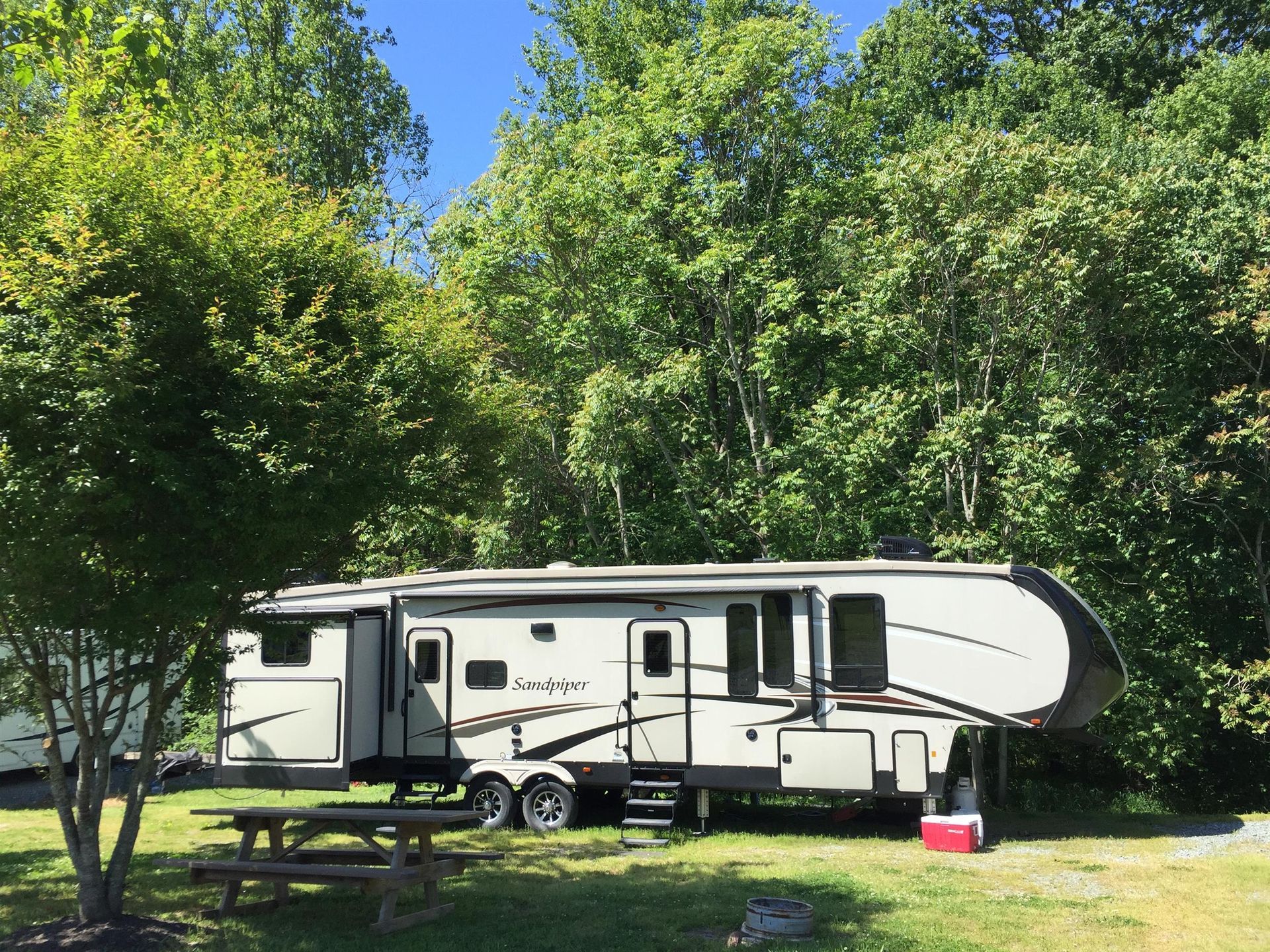 RV parked at a campsite with a picnic table and cooler; surrounded by trees, sunny day.
