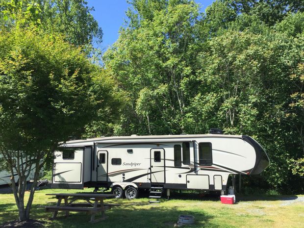 RV parked at a campsite with picnic table, surrounded by trees, on a sunny day.