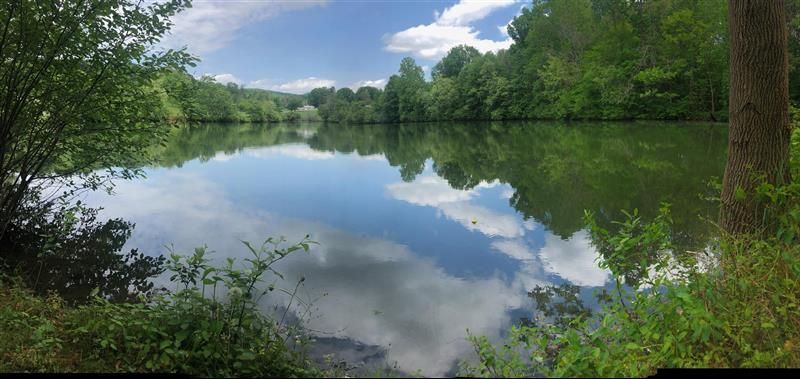 A calm lake reflects the sky and surrounding trees on a sunny day.