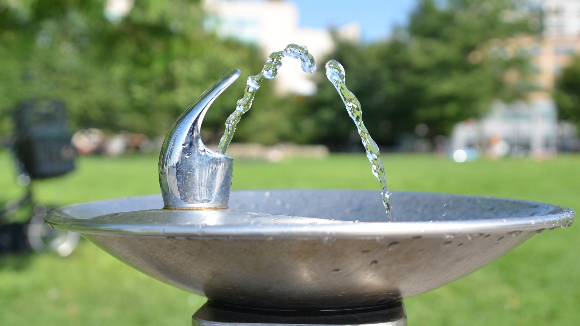 Water fountain in a park, silver spout with water arching into bowl; green grass and trees in background.