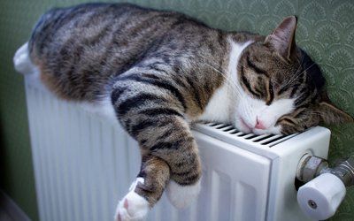 Heating System — Cat Above The Heating Machine in Southern California, US