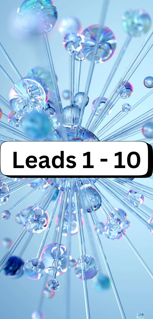 Research Agent/Publisher Leads  1-10 (each)