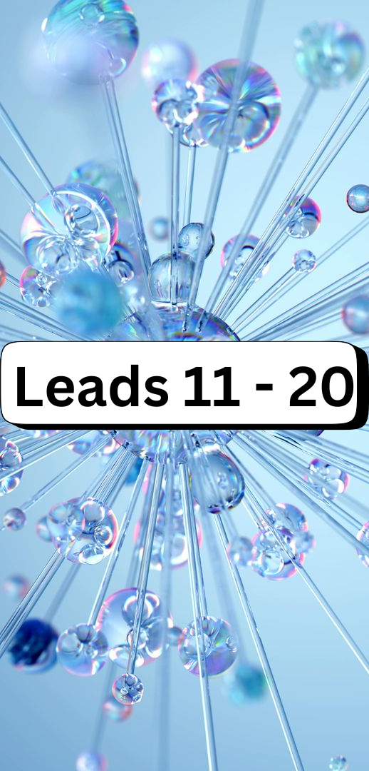 Research Agent/Publisher Leads  11-20 (each)