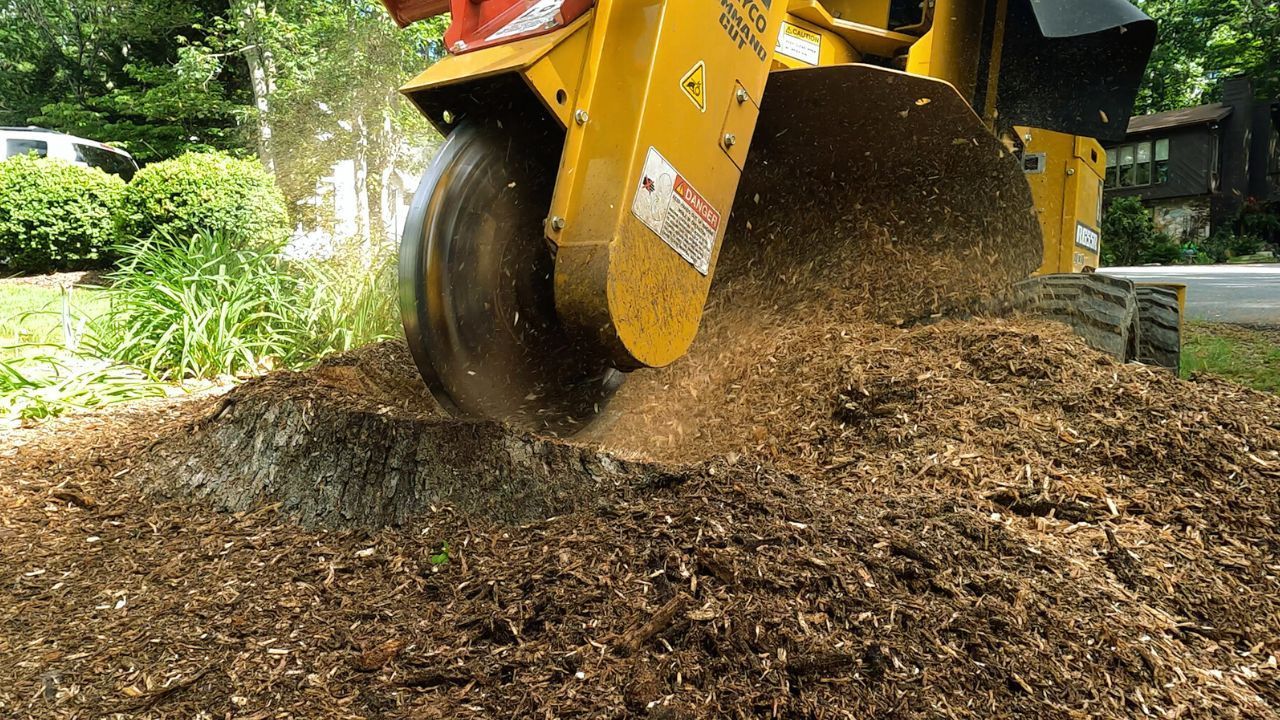 stump grinding harrisonburg va