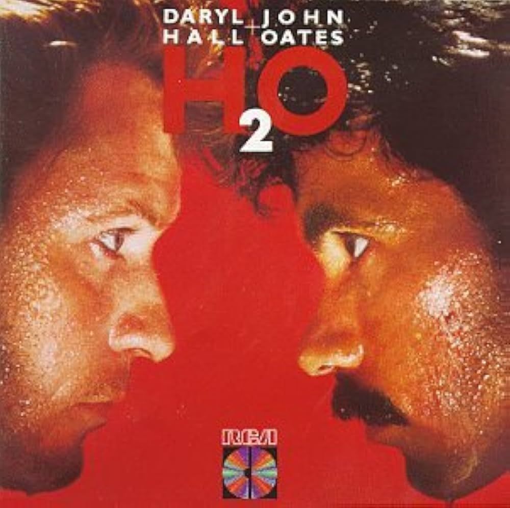 Album cover for Daryl Hall and John Oates'