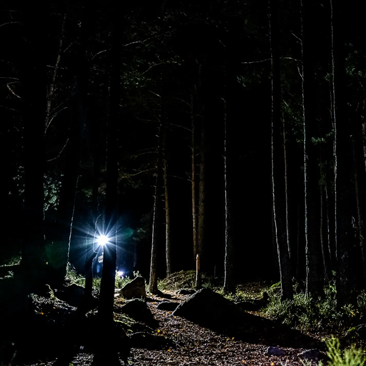 A person is walking through a dark forest at night