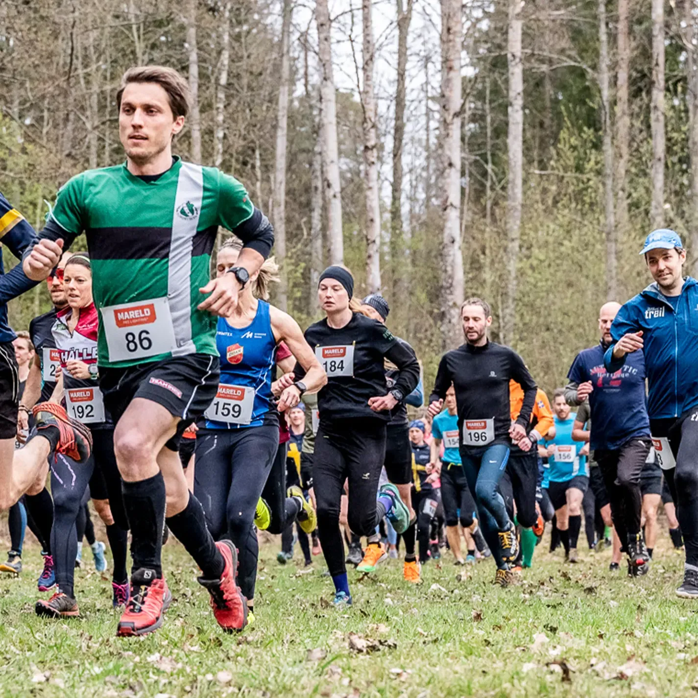 A group of people are running a marathon in the woods.