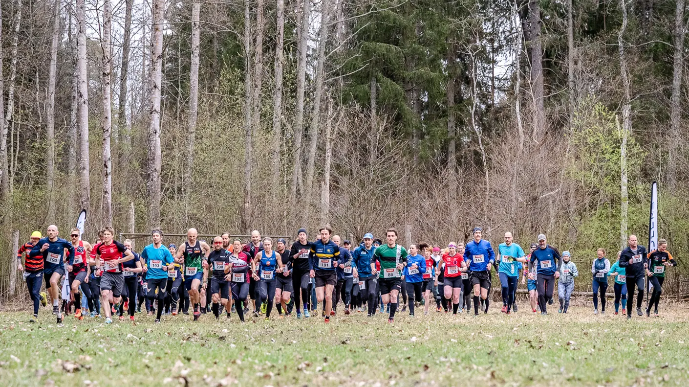 A large group of people are running in a field in the woods.