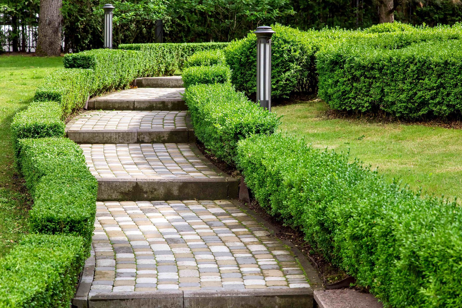outdoor long steps with greenery around