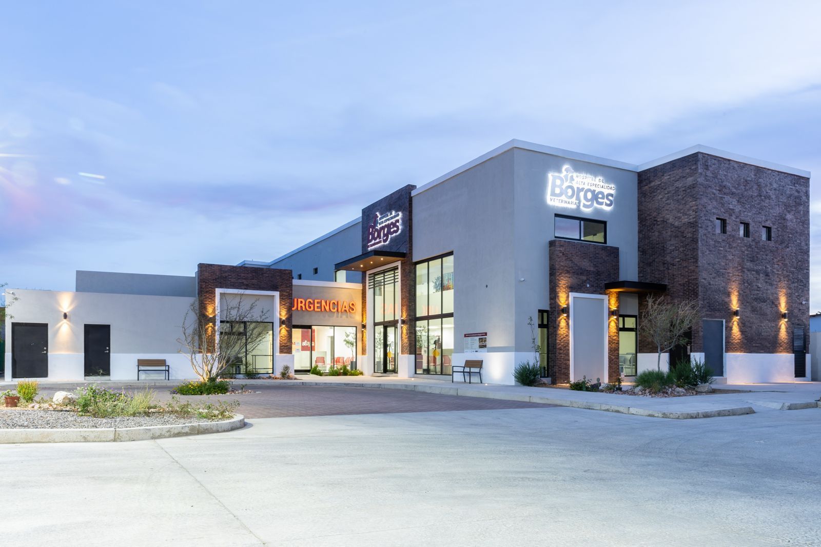 HOSPITAL VETERINARIO BORGES