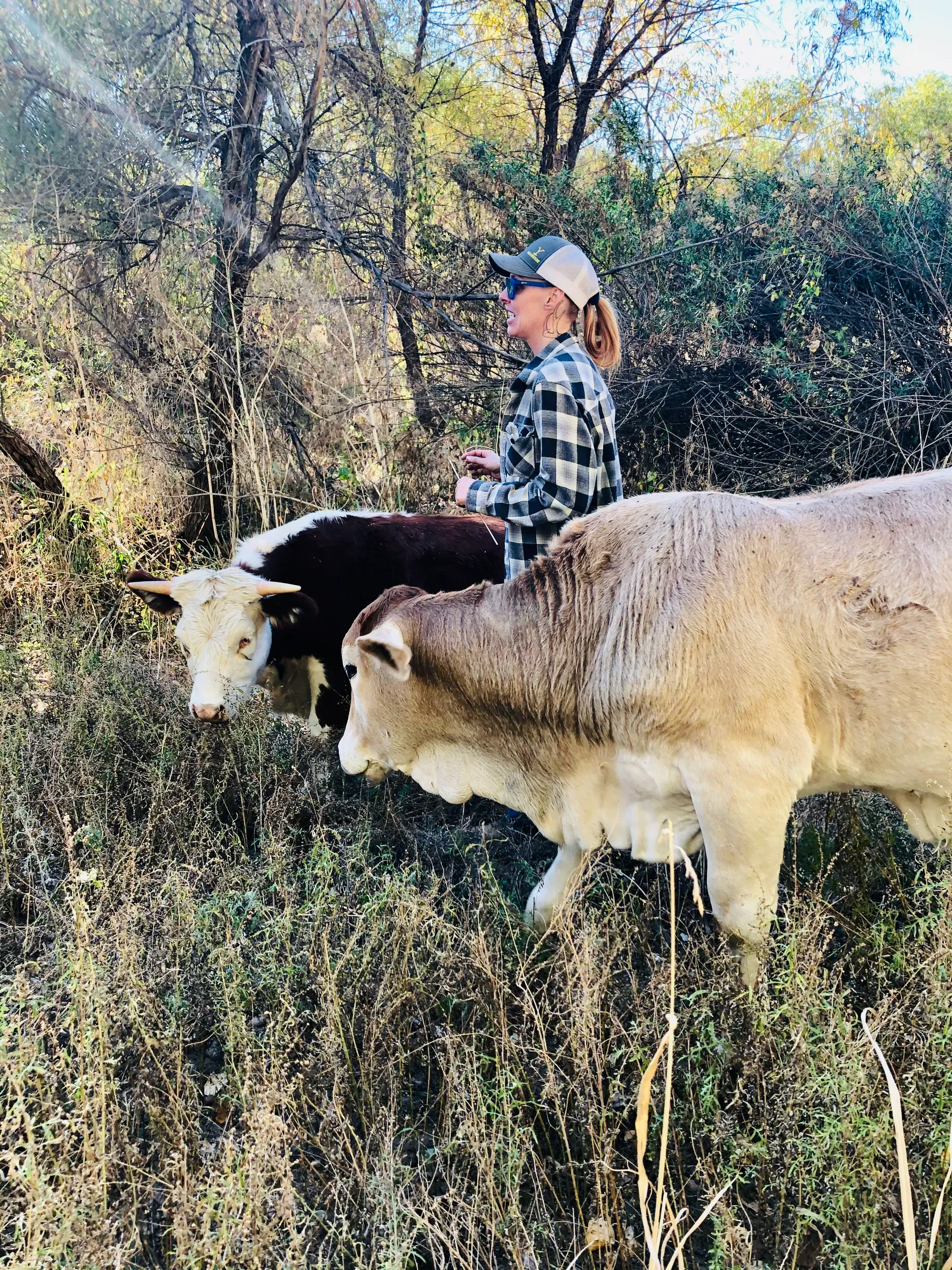 A woman is standing next to two cows in a field.