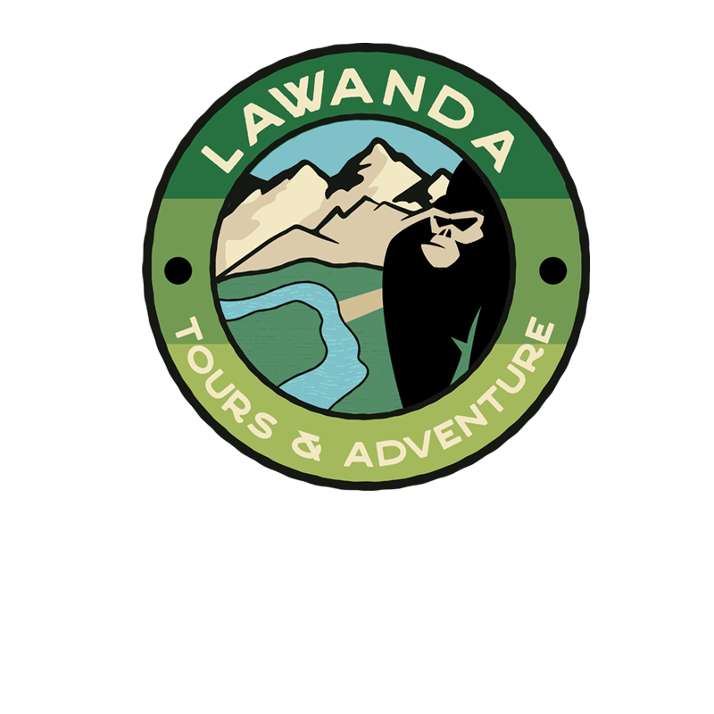 Lawanda Tours is a specialized Destination Management Company (DMC) and trusted local travel partner based in the Republic of the Congo (Congo-Brazzaville). The company designs authentic, tailor-made journeys for FIT travelers and groups, showcasing the country’s rich biodiversity, cultural heritage, and untamed landscapes. With strong local expertise and reliable on-the-ground operations, Lawanda Tours offers seamless, meaningful travel experiences—opening the door to discovering Congo-Brazzaville with confidence and depth.