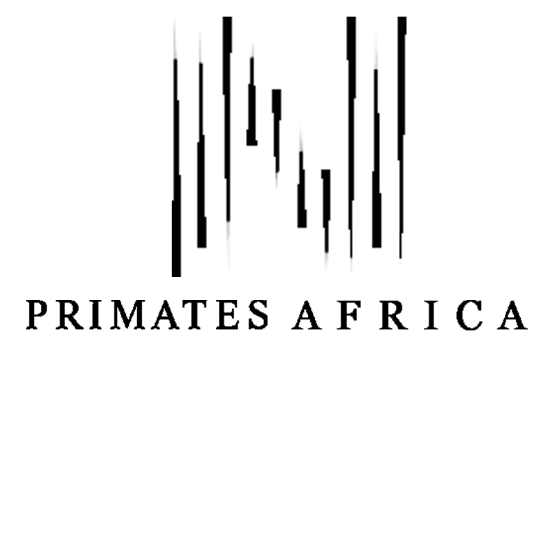 Primates Africa is a specialized DMC offering tailor-made,or adventure travel experiences for FITs and groups across Rwanda.  Discover authentic adventures, expert planning, and personalized service with our expert travel agent and tour operator Primates Africa