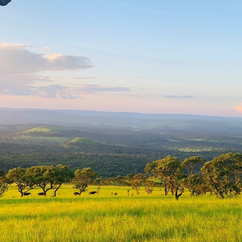 Africa DMC's offers a local, owner-managed DMC, tour operator, and travel agent in Burundi—discover Lake Tanganyika, drumming traditions, rolling hills, tea plantations, and local culture.