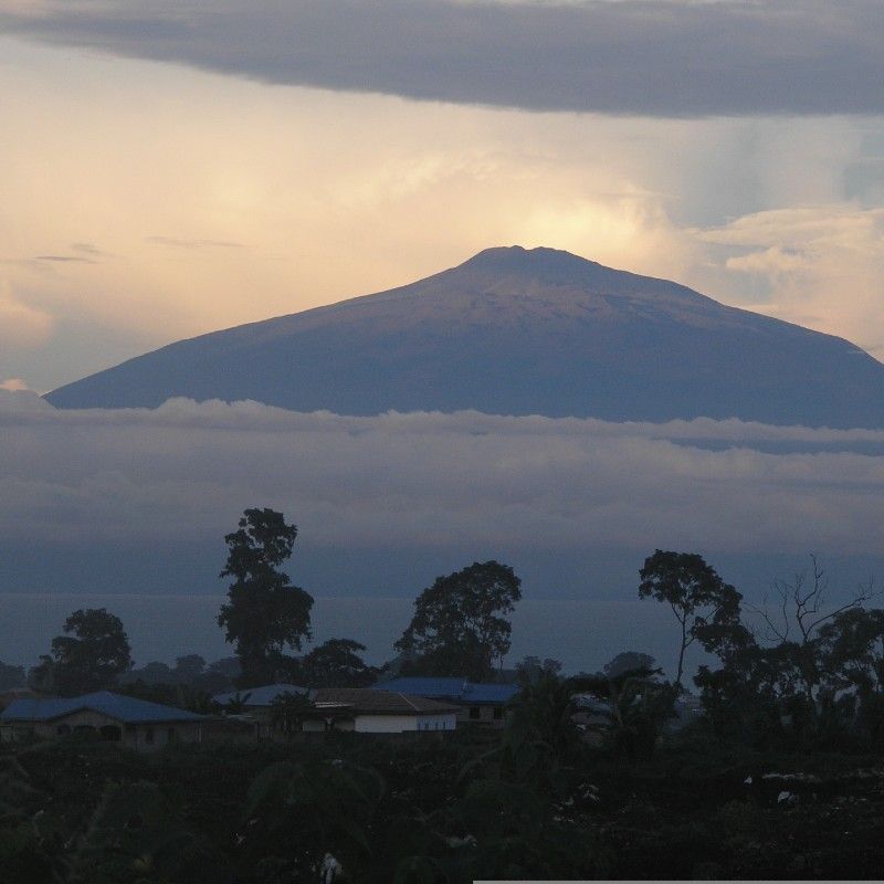 Mount Cameroon rises above mist-filled valleys at sunrise, a majestic and imposing figure in the early light. Africa DMC's, through its network of expert locally based tour operators, organizes unforgettable travel experiences to this iconic natural wonder.
