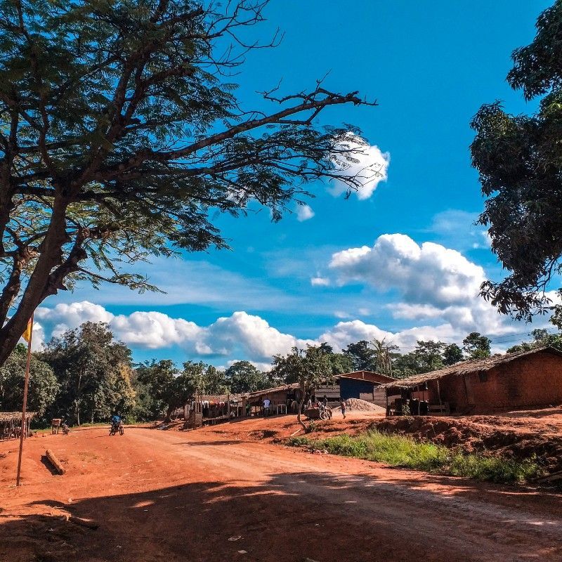 This panoramic view of Eastern Cameroon shows a vibrant rural village under clear blue skies, with a dirt road winding through lush, colorful landscapes. Africa DMC's, through its trusted local partners, organizes unforgettable travel experiences to this remote region.
