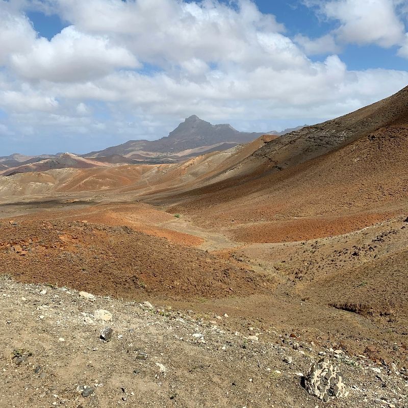 A desert landscape with mountains in the background