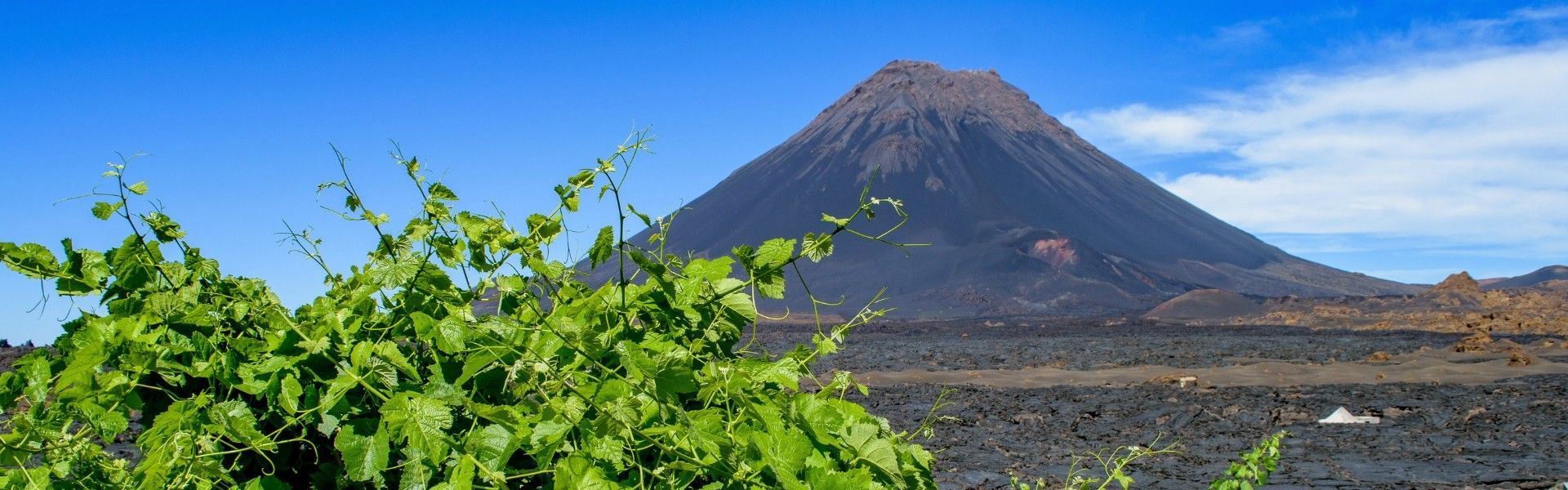 Travel to Cape Verde with Africa DMC's. This Atlantic archipelago is one of Africa’s hidden gems—where each island offers a unique experience. From the volcanic peaks of Fogo to the vibrant music scenes of Mindelo and the relaxing beaches of Sal and Boa Vista, Cape Verde is a destination waiting to be explored. Let our trusted local partner, Atlantur, guide your journey across this unforgettable island paradise.