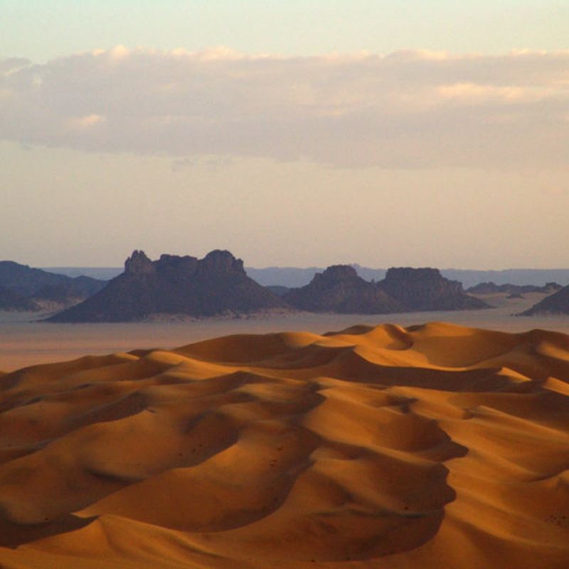 A desert landscape with mountains in the background