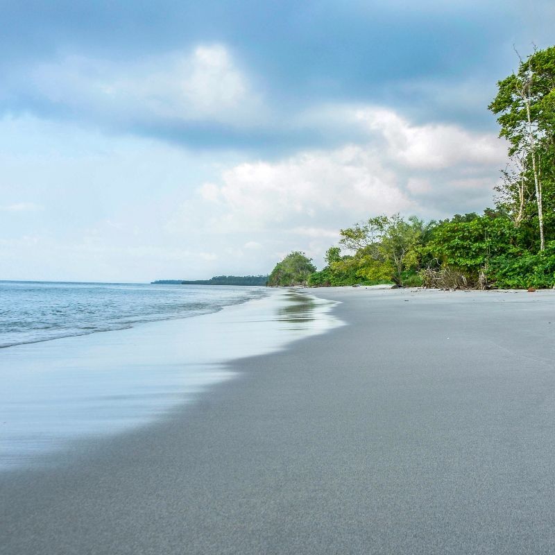 Travel to Gabon with Africa DMC's. This Central African treasure is one of the continent’s best-kept secrets—where lush rainforests, coastal lagoons, and savanna landscapes come together in spectacular harmony. From the wildlife-rich Loango National Park to the dense jungles of Ivindo and the cultural rhythms of Libreville, Gabon is a destination waiting to be discovered. Let our trusted local partner, Gabon Highlights Tourism & Co., guide your journey through this unforgettable natural paradise.
