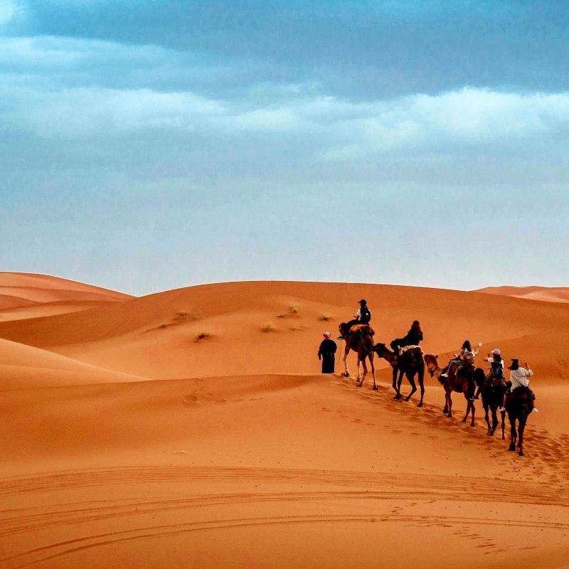 A group of people riding camels in the desert