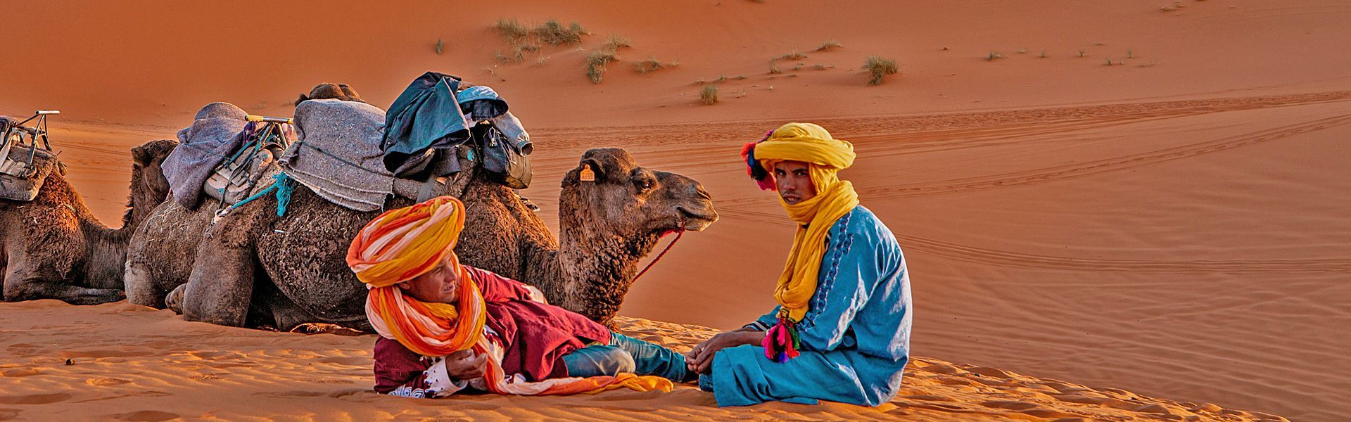 Travel to Morocco with Mesmerizing Morocco! Discover a land of captivating contrasts, where ancient traditions and adventure await at every turn. From the bustling souks and palaces of Marrakech to the vast, golden dunes of the Sahara Desert, Morocco offers a wealth of unforgettable experiences. Explore the majestic Atlas Mountains, visit the historic cities of Fes and Rabat, and immerse yourself in the unique culture of this vibrant country.

Relax in the coastal beauty of Essaouira and Agadir, or wander through the ancient medinas, where history and art come to life. Let Mesmerizing Morocco, our trusted local partner, design a personalized itinerary to experience Morocco’s stunning landscapes, rich culture, and timeless charm. Start planning your Moroccan adventure today!