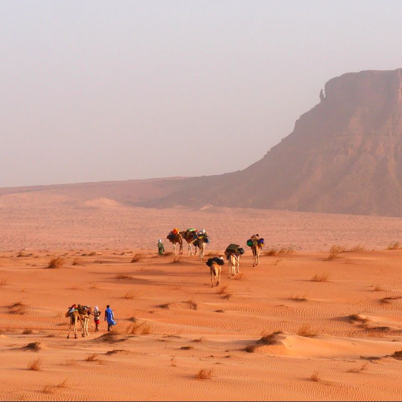 Mauritania is an intriguing and off-the-beaten-path destination, full of untapped adventure. With the tourism doors now opening, you can explore incredible natural wonders and cultural treasures. From the vast golden dunes of the Sahara Desert to the ancient city of Chinguetti, a UNESCO World Heritage site, Mauritania offers authentic experiences for curious explorers. The welcoming locals, vibrant traditions, and unique landscapes create the perfect backdrop for a journey like no other. Whether you're seeking remote desert adventures or coastal exploration, Mauritania is waiting to be discovered. Visit Mauritania with Africa DMC's member on the ground, tailor-made travel expert, Détours Mauritanie.