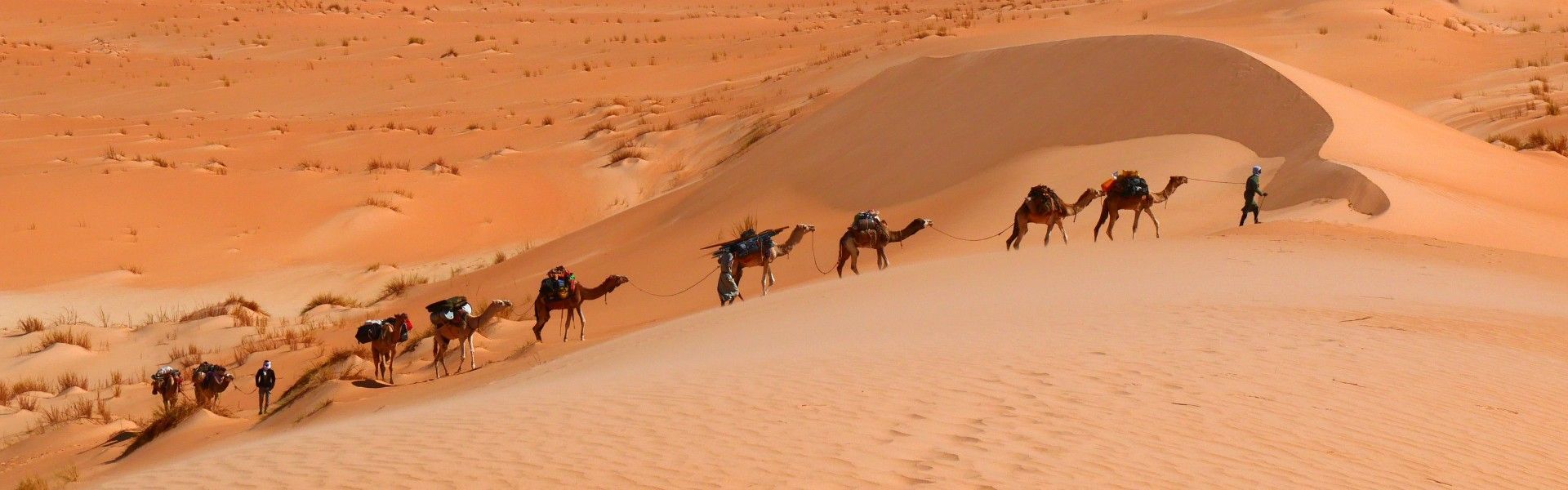 Mauritania is an intriguing and off-the-beaten-path destination, full of untapped adventure. With the tourism doors now opening, you can explore incredible natural wonders and cultural treasures. From the vast golden dunes of the Sahara Desert to the ancient city of Chinguetti, a UNESCO World Heritage site, Mauritania offers authentic experiences for curious explorers. The welcoming locals, vibrant traditions, and unique landscapes create the perfect backdrop for a journey like no other. Whether you're seeking remote desert adventures or coastal exploration, Mauritania is waiting to be discovered. Visit Mauritania with Africa DMC's member on the ground, tailor-made travel expert, Détours Mauritanie.