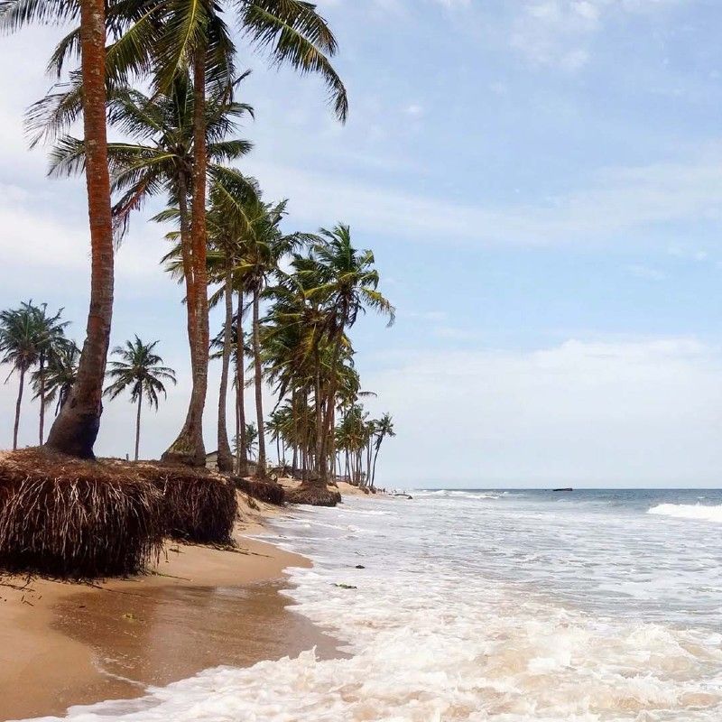 This stunning image captures the tranquil beauty of Tarkwa Bay Beach in Nigeria, where gentle waves break at the feet of swaying palm trees and the ocean breeze rustles through their leaves. Located just off the coast of Lagos, Tarkwa Bay is a peaceful escape known for its golden sands, warm waters, and laid-back atmosphere—perfect for swimming, surfing, or simply relaxing. Discover the coastal charm of Nigeria with Connect DMC, your expert guide to authentic and tailor-made travel experiences. Africa DMC's, through its network of great locally based tour operators, organizes unforgettable journeys to Nigeria’s most beautiful beach destinations.