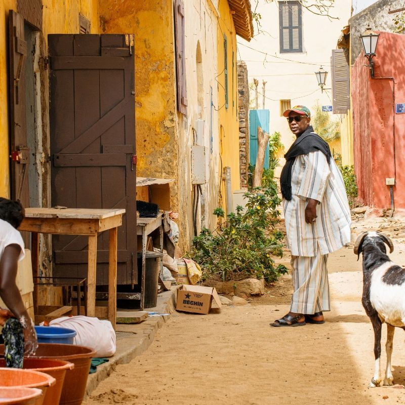 This evocative image captures a quiet street on Île de Gorée, lined with pastel-colored colonial buildings, stone pathways, and vibrant bougainvillea—a place where history and culture live side by side. Once a major center of the transatlantic slave trade, the island now stands as a powerful symbol of resilience and remembrance. Visitors can explore historic sites like the House of Slaves, art galleries, and local crafts that celebrate Senegalese heritage. Discover the soul of Senegal with CicoTours, your trusted local expert. Africa DMC's, through its network of great locally based tour operators, organizes immersive cultural journeys across this unforgettable destination.