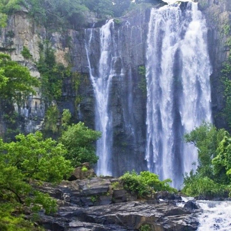 This breathtaking image showcases the stunning Dindéfelo Falls, nestled in the lush hills of the Kédougou region in southeastern Senegal. Surrounded by dense forest and dramatic cliffs, the waterfall cascades into a serene natural pool—perfect for a refreshing dip after a scenic hike. A hidden gem near the Guinean border, Dindéfelo offers a glimpse into Senegal’s wild and untouched beauty. Discover this remarkable region and more with CicoTours, your trusted local expert for tailor-made adventures. Africa DMC's, through its network of great locally based tour operators, organizes unforgettable journeys to Senegal’s most beautiful and remote natural wonders.