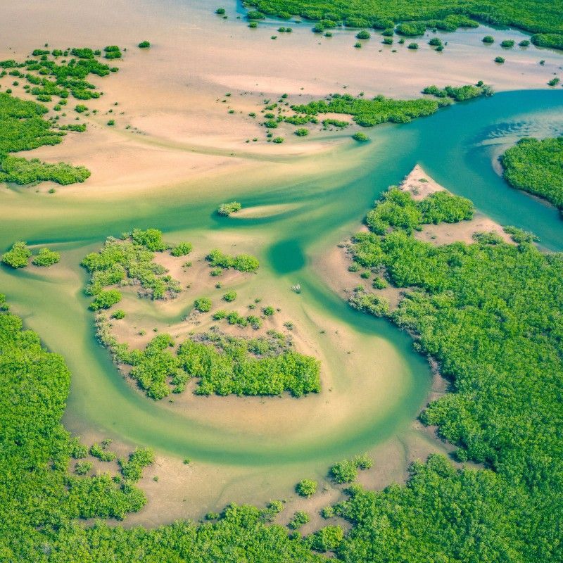 This stunning aerial image captures the intricate beauty of the Saloum Delta National Park in Senegal, where winding mangrove forests meet golden sand dunes and shimmering waterways. A UNESCO Biosphere Reserve, the Saloum Delta is a paradise for birdwatchers, nature lovers, and cultural explorers alike. Discover the ecological richness and serene landscapes of Senegal with CicoTours, your expert local partner for immersive and tailor-made travel experiences. Africa DMC's, through its network of great locally based tour operators, organizes unforgettable journeys across Senegal—bringing you closer to its hidden natural treasures and authentic cultural encounters.