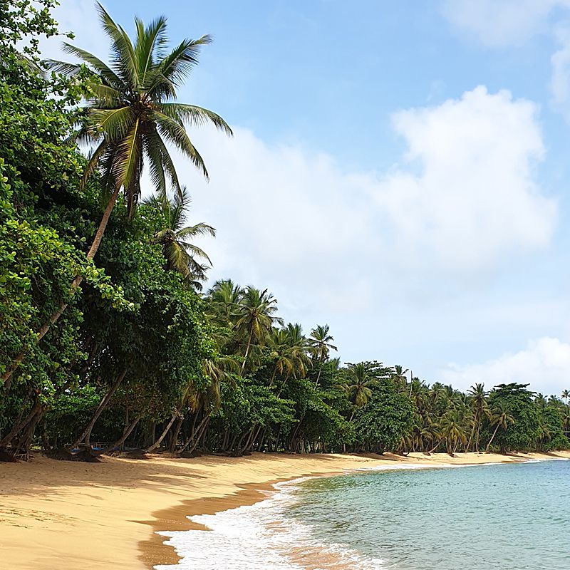Escape to the untouched paradise of São Tomé & Príncipe with Sao Ferias. This serene image of a deserted beach lined with lush green vegetation and swaying palm trees captures the essence of this island nation’s natural beauty. Sao Ferias offers tailored travel experiences to discover the highlights of São Tomé & Príncipe, including Obo National Park, cocoa plantations, colonial architecture, and vibrant marine life. Relax on hidden beaches, explore rainforest trails, and connect with the warm island culture. Let Sao Ferias guide you through the tranquil charm and unspoiled wonders of São Tomé & Príncipe.