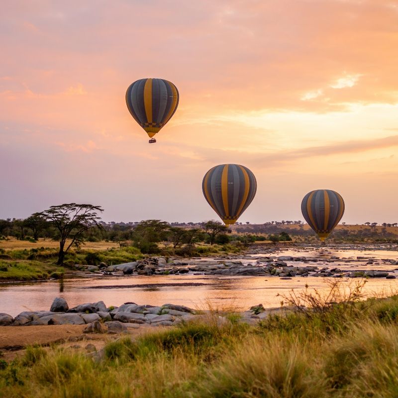 Explore the wild beauty of Tanzania with Blue Baobab Safaris. This powerful image of two large buffalos standing alert in the lush green grass of Tarangire National Park captures the essence of the country’s untamed landscapes. Blue Baobab Safaris offers unforgettable journeys through Tanzania’s top highlights, including the Serengeti’s great migration, the wildlife-rich Ngorongoro Crater, and the idyllic beaches of Zanzibar. Discover ancient baobab trees, vast savannas, and diverse wildlife on expertly guided safaris. Let Blue Baobab Safaris take you deep into the heart of Tanzania, where every moment is filled with natural wonder and adventure.