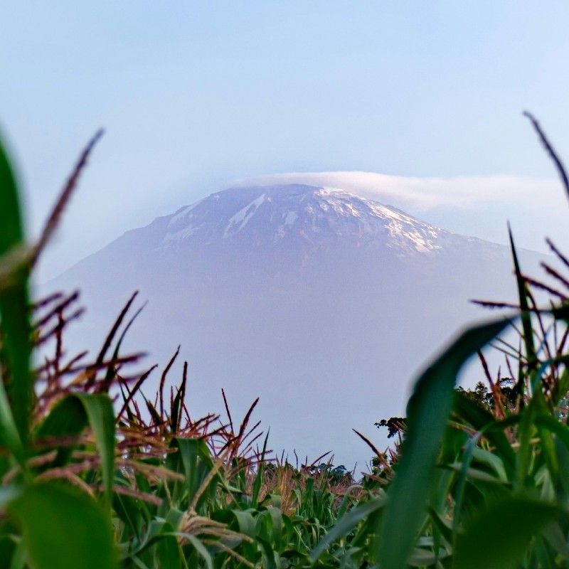 A breathtaking view of Mount Kilimanjaro rising above the African plains at sunset. Kilimanjaro delivers the ultimate African adventure—iconic landscapes, diverse ecosystems, and the unforgettable achievement of standing on the Roof of Africa in one extraordinary destination.
Explore Kilimanjaro with Africa DMC’s trusted network for your local tour operator and travel agent.
