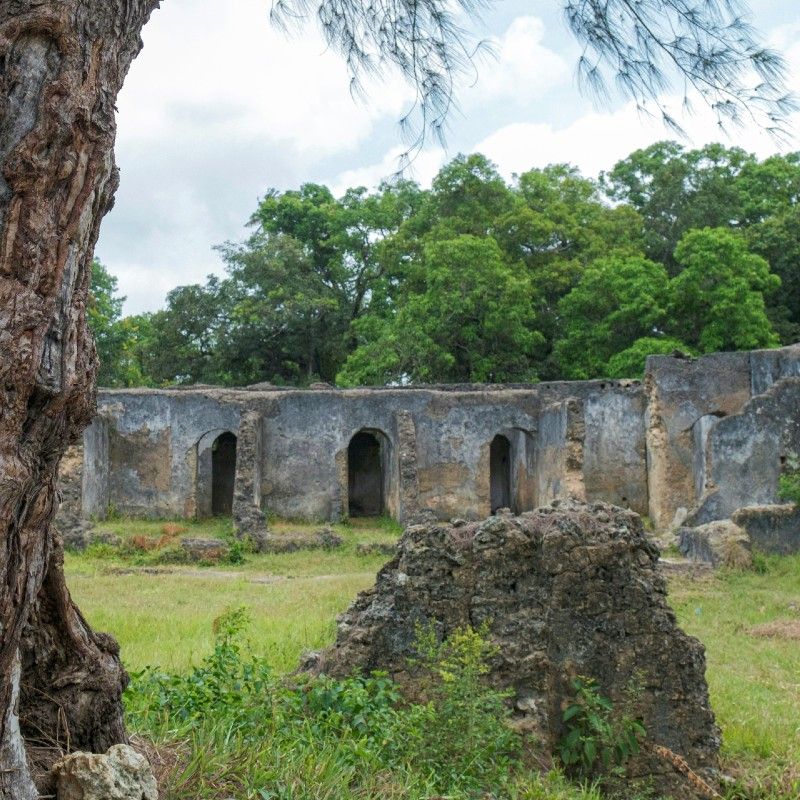 Travel to Zanzibar with Africa DMCs. The doors are opening wider to one of East Africa’s most captivating island destinations—an idyllic paradise of turquoise waters, white-sand beaches, spice plantations, and rich Swahili culture. Discover hidden gems like the historic alleys of Stone Town, a UNESCO World Heritage Site, or the crystal-clear lagoons of Mnemba Island. Let our trusted local partner, Colors of Zanzibar DMC, craft a tailor-made journey designed just for you.