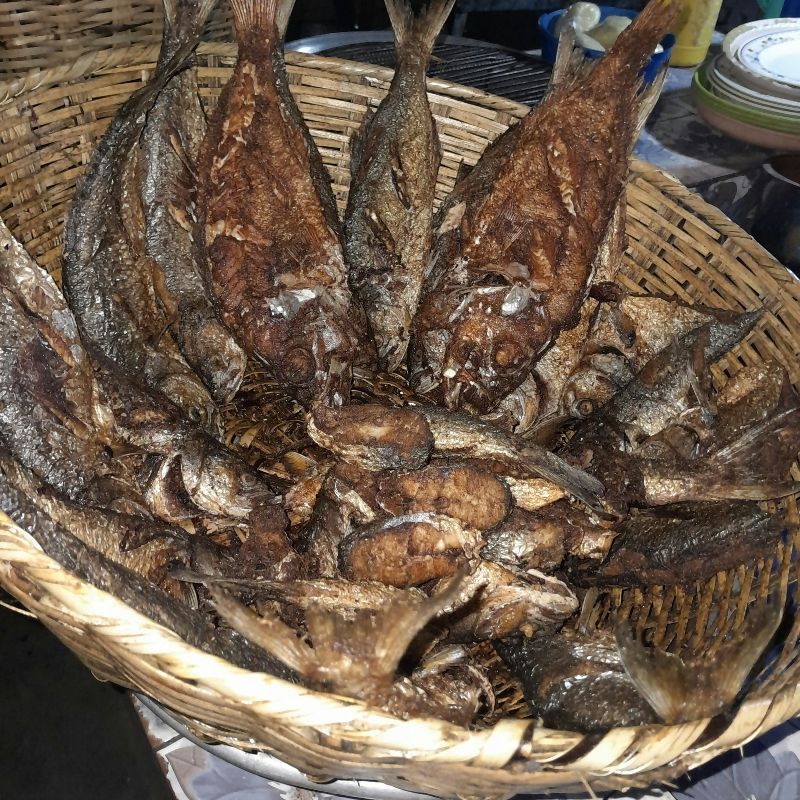 Africa DMC's offers a local, owner-managed DMC, tour operator, and travel agent in Togo—discover lively markets, voodoo traditions, palm-lined beaches, lush hills, traditional villages, and vibrant West African culture.