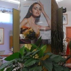 Una pianta verde in un salone