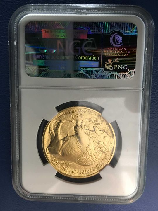 2010 Gold $50 Buffalo Coin - Obverse
