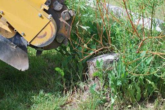 Stump Grinding