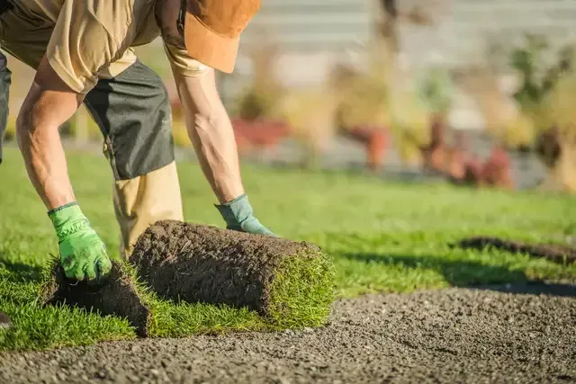 sod installation