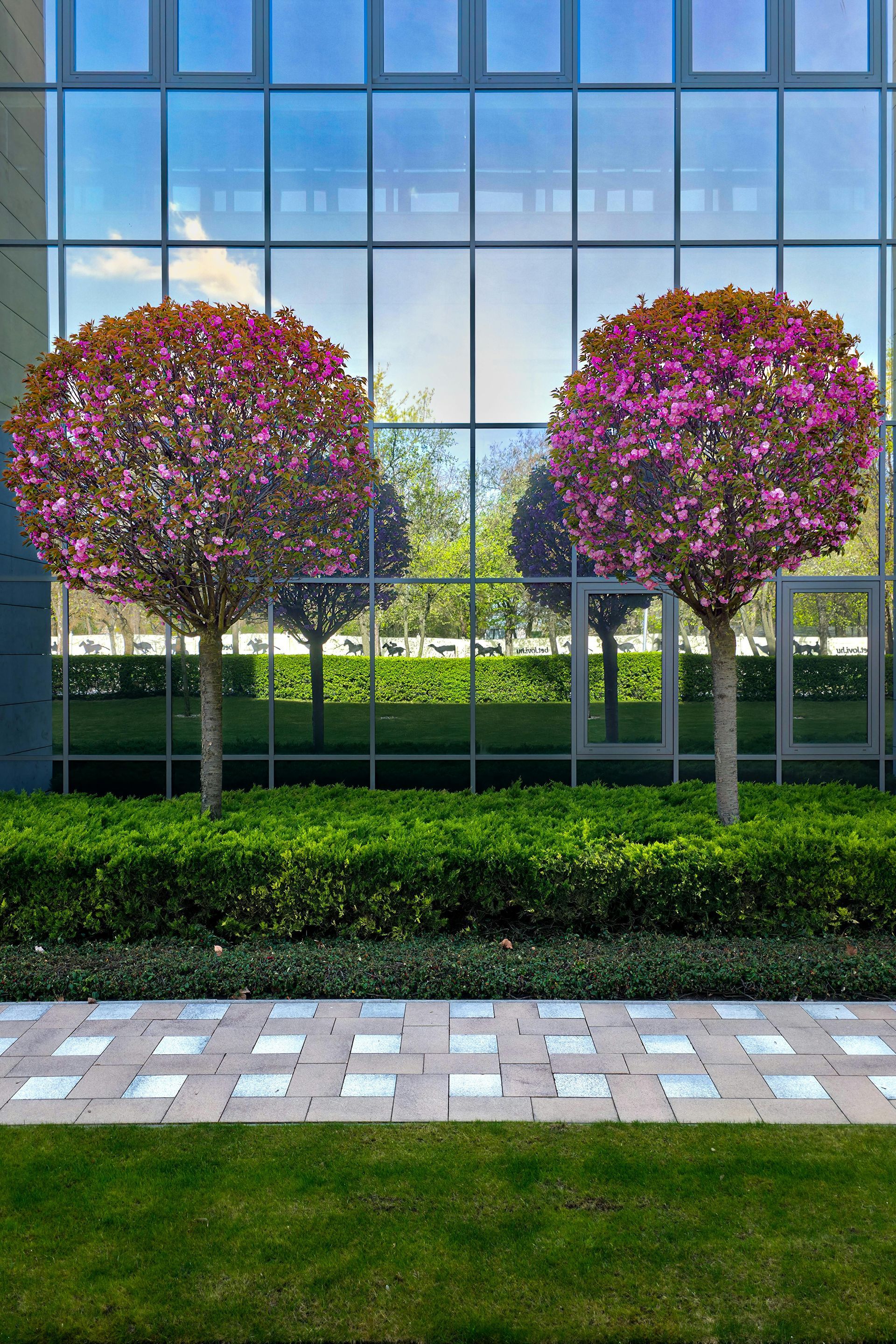 commercial landscaping
