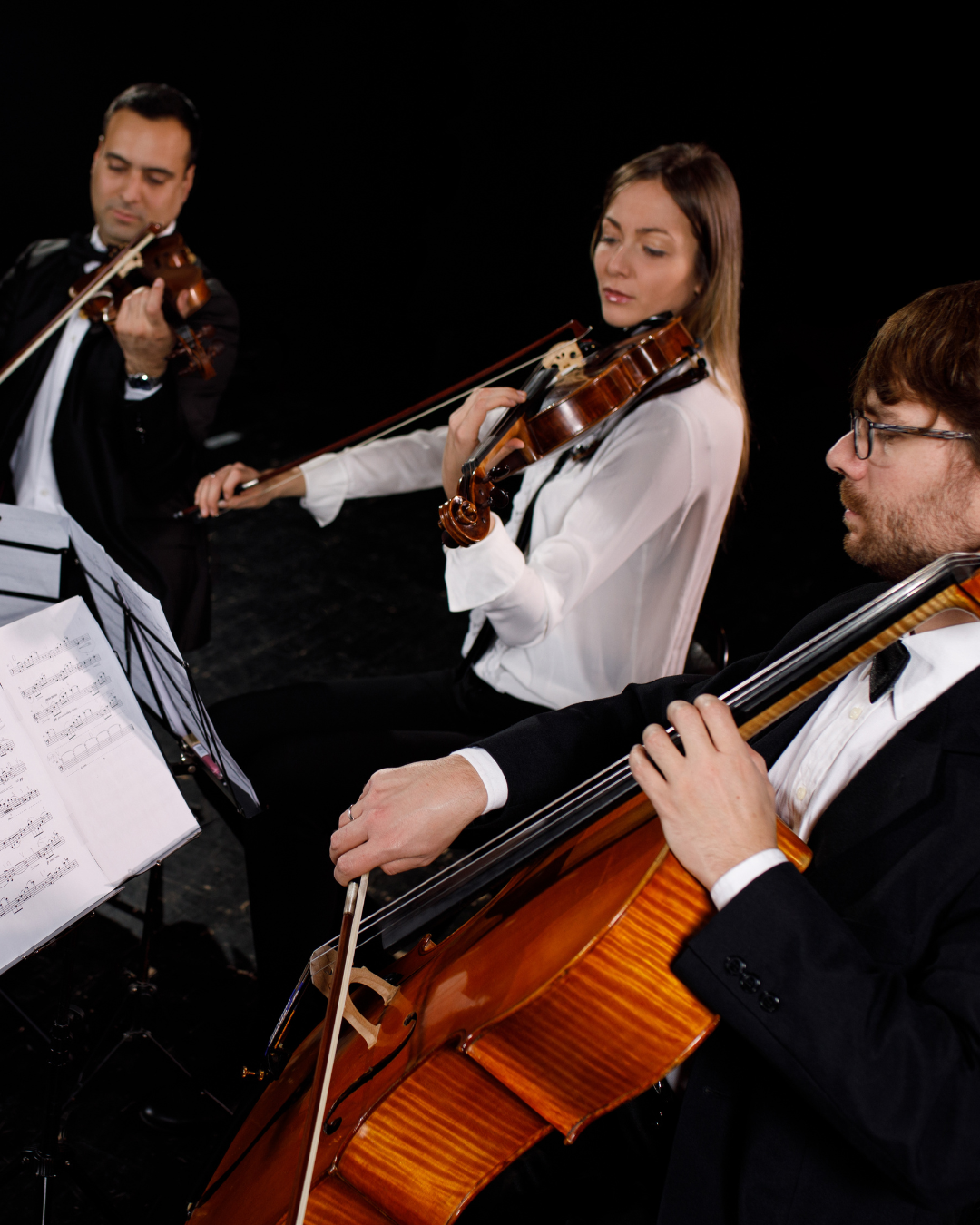 Three piece string ensemble performs at a live event